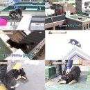 지상농장 이미지