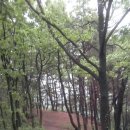 2013. 5. 29 가팔환초 일부구간(계정사-가산바위-용바위-가산봉-치키봉-한타재-파계재-파계사(4)