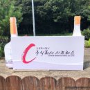 [제주남쪽/도민추천] 한국인이라면 꼭 마셔봐야 하는 명품 감귤주 (시트러스&amp;백종원 추천 우리술)