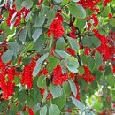 김종찬농장 이미지