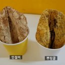 찹쌀꿀호떡 이미지
