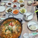 3-26년3월-02참나무처럼식물산책/2박3일-완도 공룡알해변 이미지