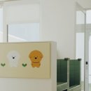 지니스테이 이미지