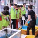 말바우시장 이미지