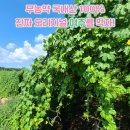 이정균내과의원 이미지