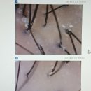 전주 탈모관리 전문 헤드스파 k 서신점 내돈내산 방문후기