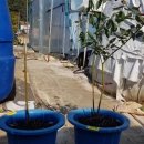 장유농장 이미지