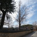 벽진 마을회관 이미지