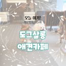 로이펫살롱 | 강아지전용) 창원 중앙동 &#39;도그살롱&#39; 애견카페 후기