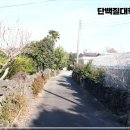 고정화할망집 이미지