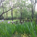 6731 | 해외 주식 양도소득세와 지방 소득세 납부 완료 후기