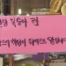 매일파스타 네이버블로그