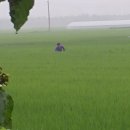 복동농장 이미지