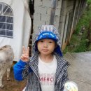 플라이 싸커
