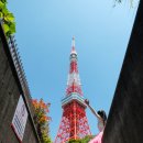 집앞커피 | 인천공항 콜밴 택시 예약 아침비행기 출국 집앞 픽업 이용후기