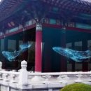 고래스크린 이미지