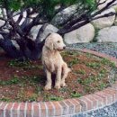 신풍리마을회관 이미지