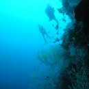 [필리핀 세부] 9월16일(토)~21일(목) 때묻지 않은 카모테스 섬으로 펀다이빙 갑니다. 이미지