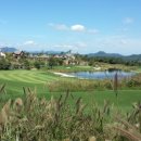 오렌지 클럽 이미지