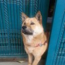 황구건강원 이미지