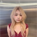 노연스테이 이미지