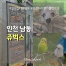만나굼벵이 | [인천 남동] 사계절 내내 가기 좋은 인천실내동물원 | 쥬벅스