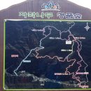 자작나무숲정상 이미지