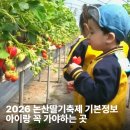 기민농장 | 2026 논산딸기축제 기본정보 농장 체험 아이랑 꼭 가야하는 곳