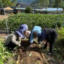 마차중학교 이미지