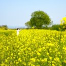 팔달 빗물펌프장 이미지