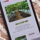 낙동라이브 이미지