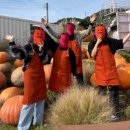 호인농장 이미지