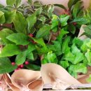 이수형한의원 이미지