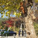 박물관역 맞은편 | 성북동 데이트 코스 선선한 가을바람 따라 간송미술관 보화비장전 전시 주차정보