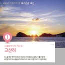 팰롱팰롱 이미지