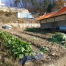 내가면-4 이미지