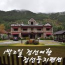 정선 둥지펜션 | 1박2일 정선여행과 정선둥지펜션 사진후기
