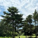 말무리목장 이미지