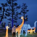 피아노경양식