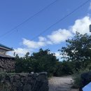 오월향가 이미지