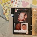 WR(인천광역시 서구)-[원당대로117번길]-하-3 | 임신기록ㅣ🤰🏻_임신중기 (feat.13 ~ 27주)