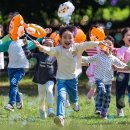 행정사 김봉규 사무소 이미지