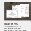 휴도 | [내돈내산]휴도 서로의동백 2530 소파 구매 후기