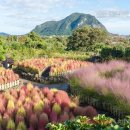 제주블랑 이미지