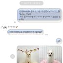 트리트멍트 이미지