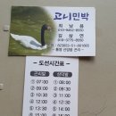 고니민박 이미지