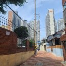 메종드림(maison de lim) 이미지