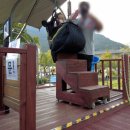 자이언트포레스트 이미지