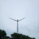 신원청연마을 | 거창_감악산_아스타국화(10/7_개화상황)