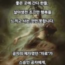 미지생 언지사(未知生 焉知死)※아직 삶도 모르는데 어찌 죽음을 알 수 있겠는가! 이미지